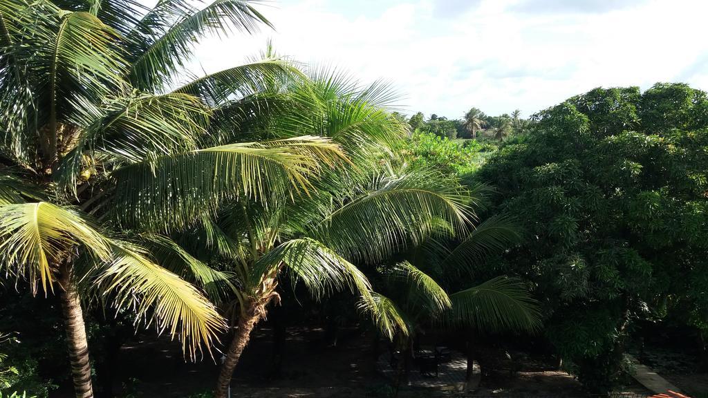 Pousada Noah De Coco Hotel Paracuru Bagian luar foto